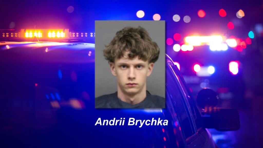 Andrii Brychka
