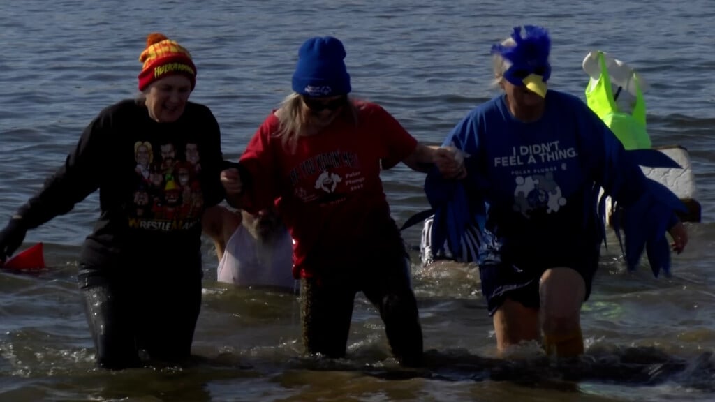 Lnk Polar Plunge