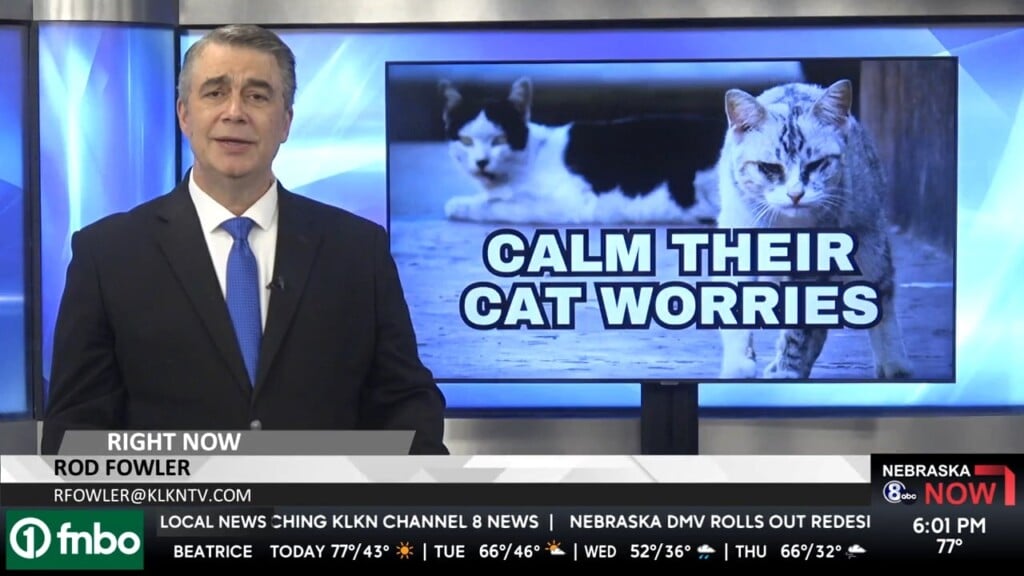 'their Life Expectancy Doubles, Triples, Quadruples': A Plan For Fairbury's Feral Cats