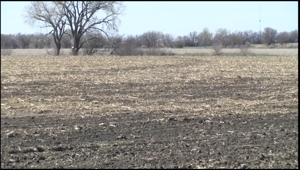 Recording 2026 03 03 14442000 00 07 03still001