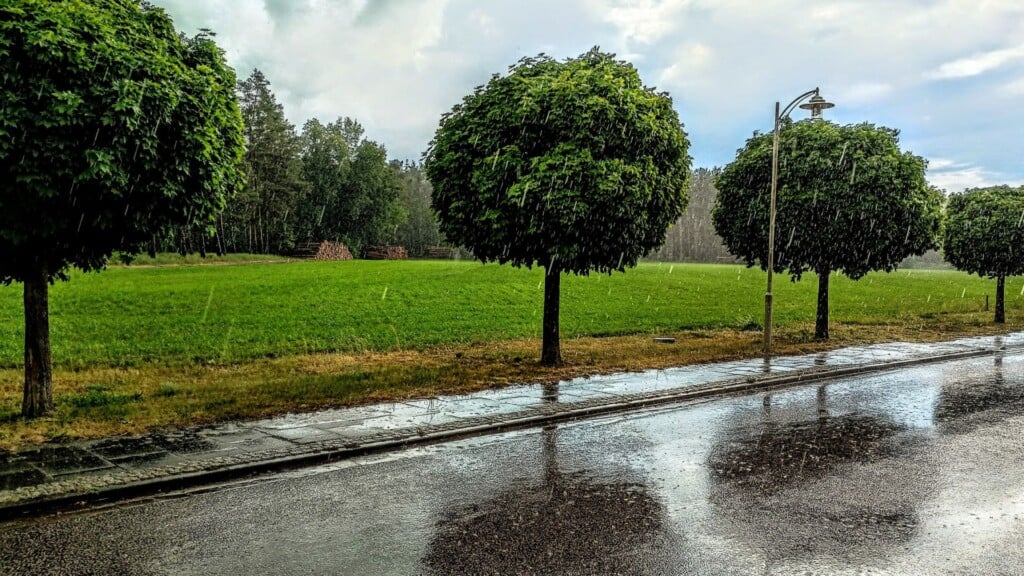 City Of Lincoln Opens Application Process For Water Quality Landscape Funding