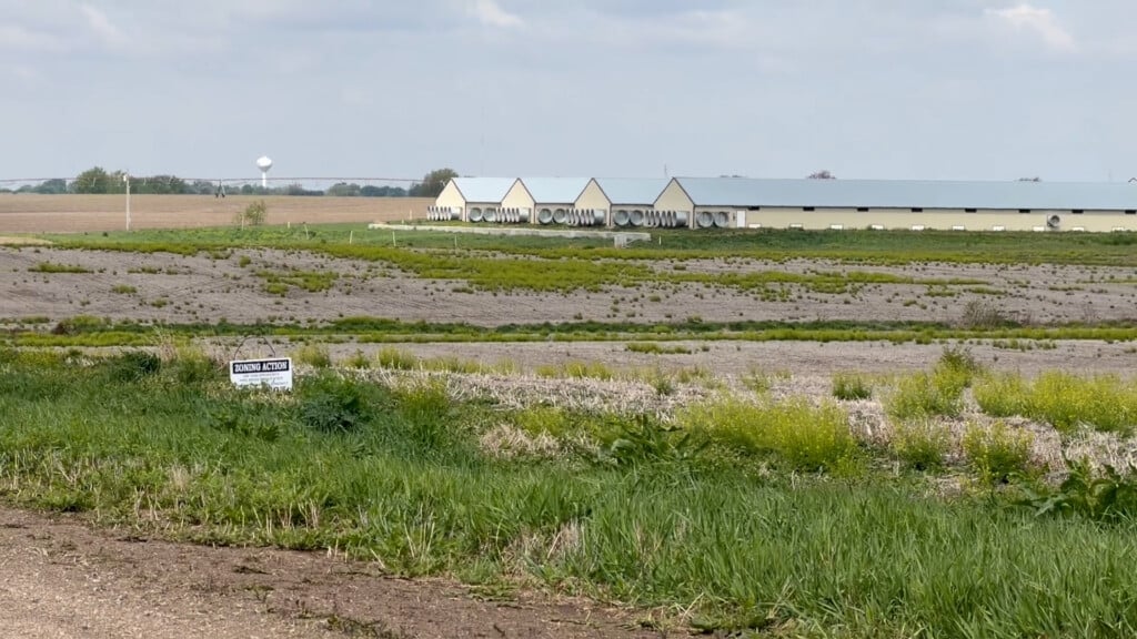 Chicken Farm