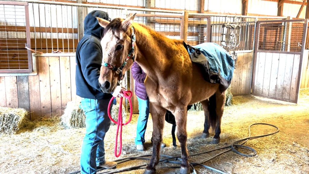 Rango Returns To Minnesota