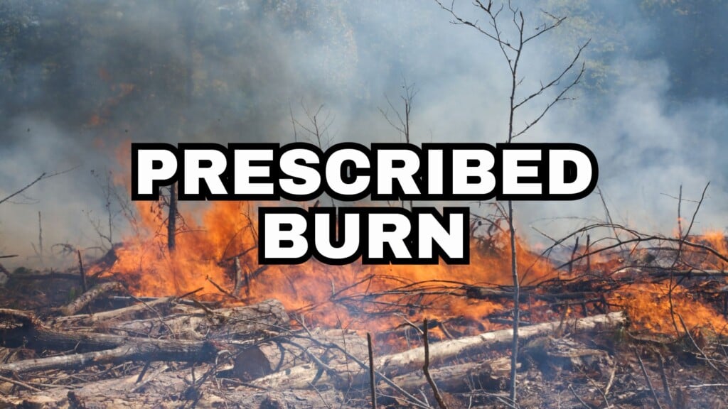 Prescribed Burn