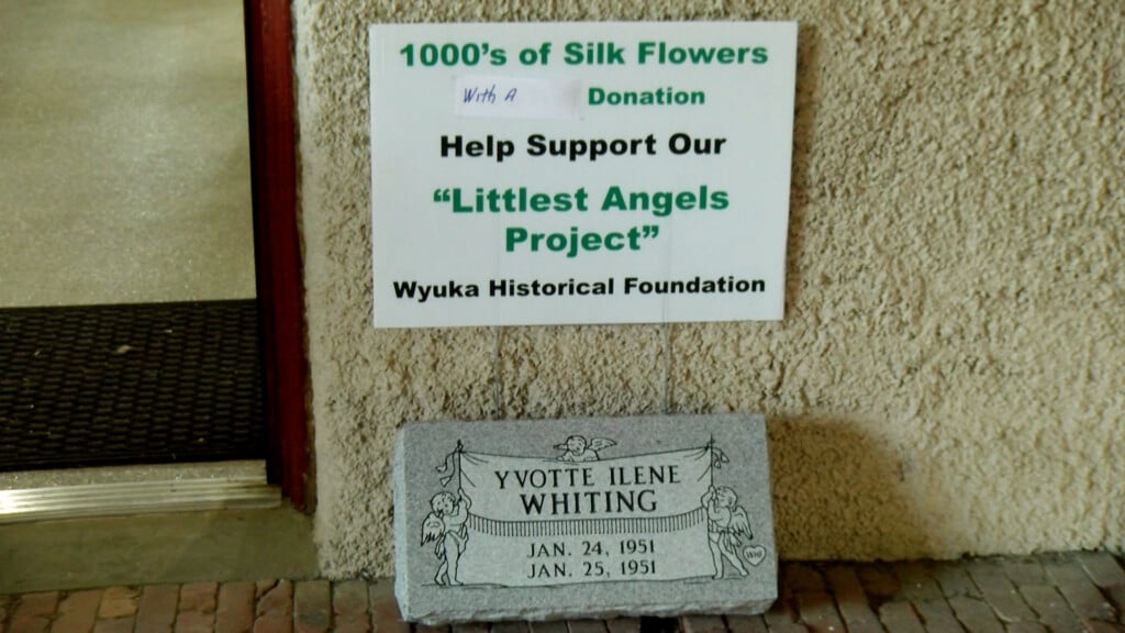 Little Angels Project