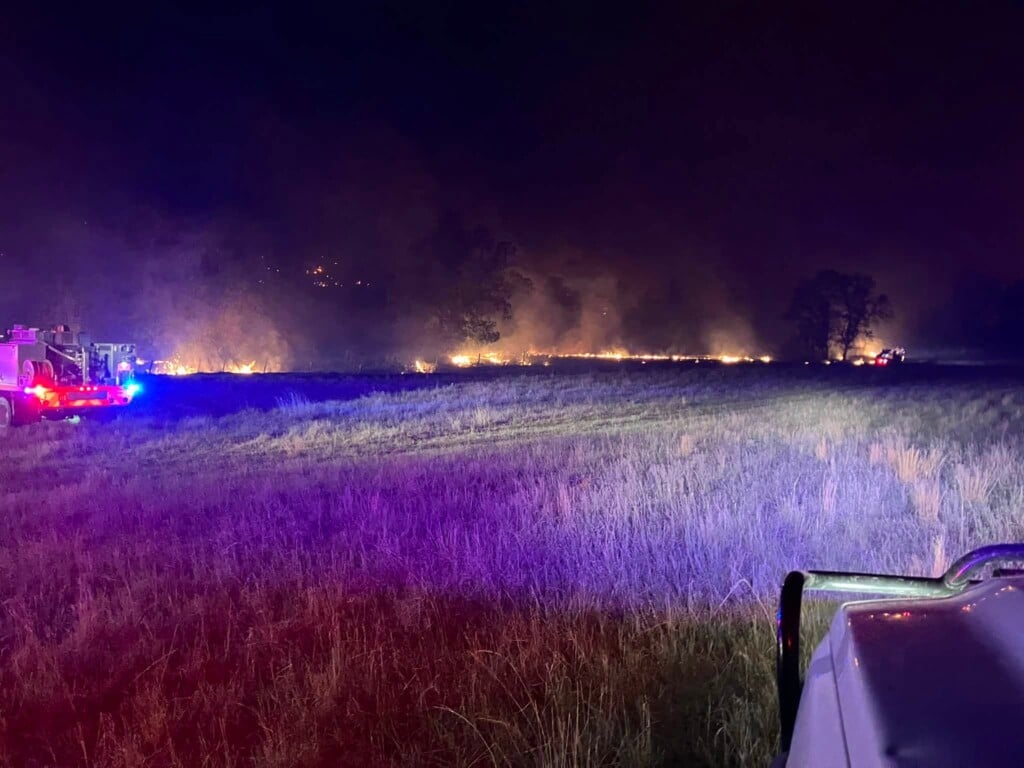 Log Road Fire