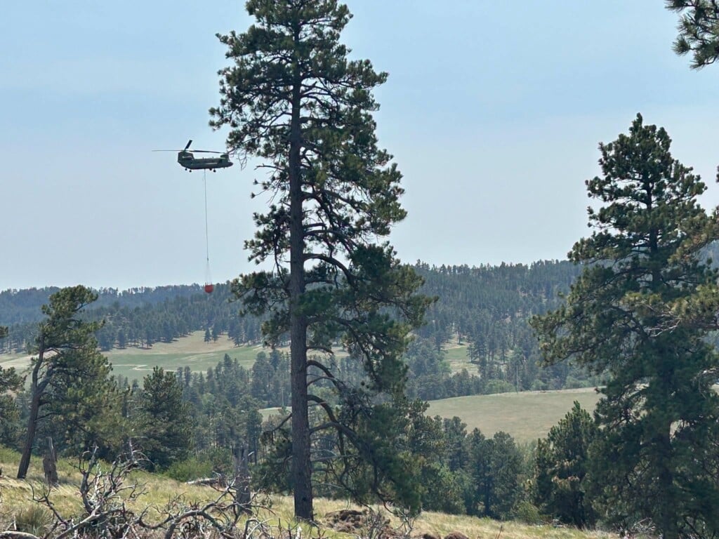 Plane Log Road Fire
