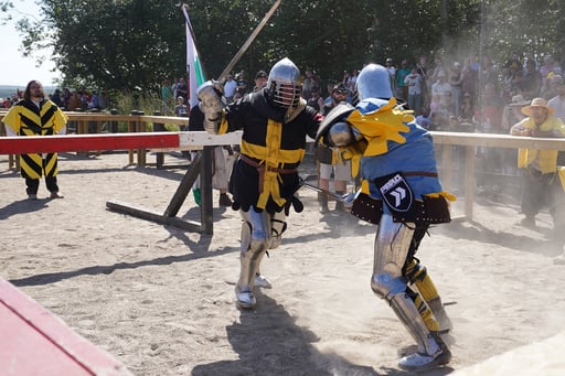 With Swords, Axes And Shields, Fighters Go Head To Head In Medieval Combat World Championship