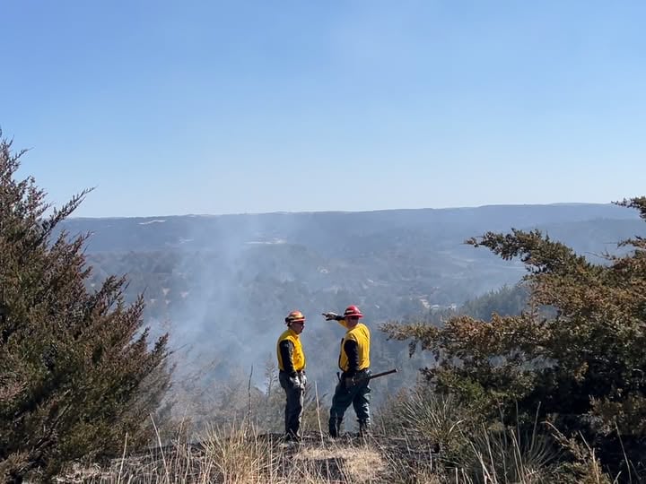 Nebraska Forest Service