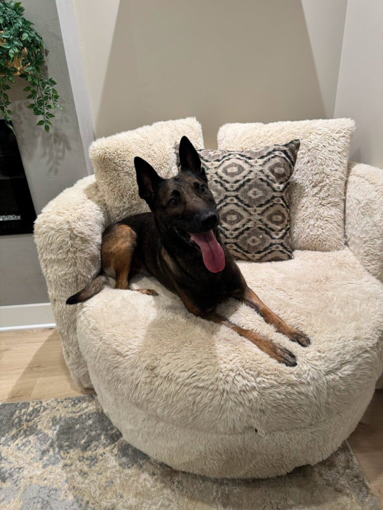 K9