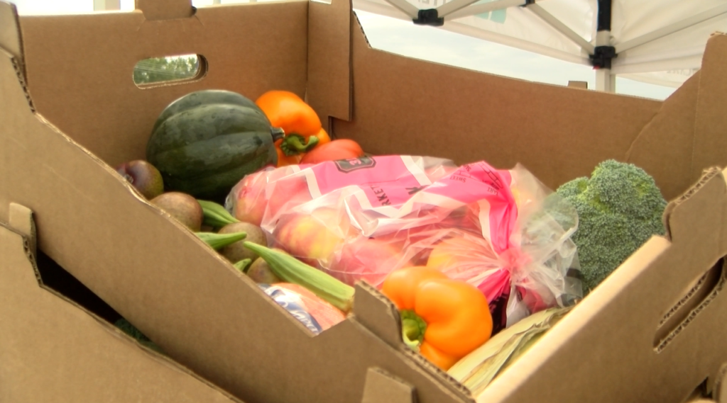 Boxes of fresh produce