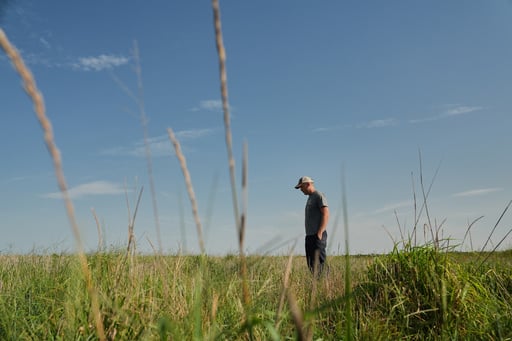 Farmers Turn To Perennial Grains As One Solution To Extreme Weather