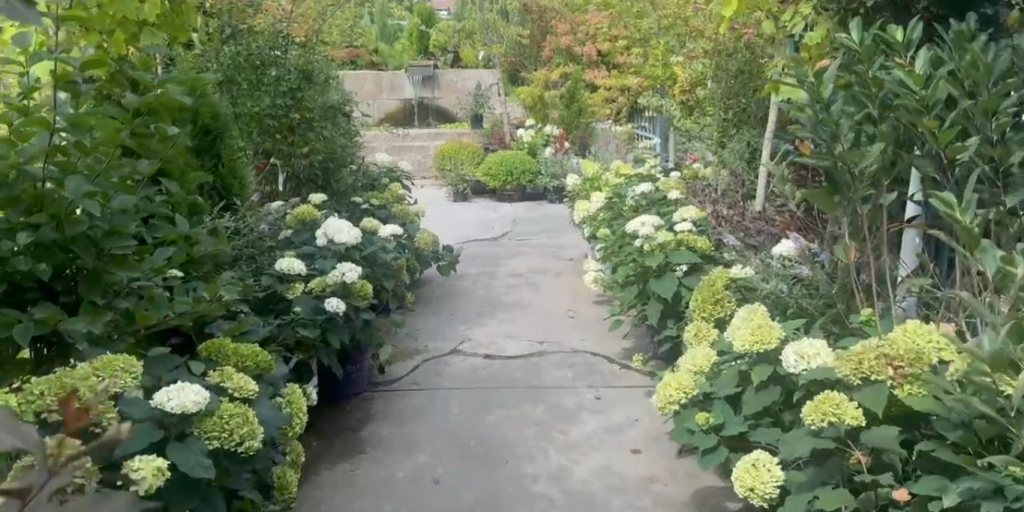 Campbell's Nurseries outside garden