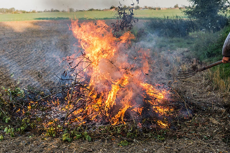Field burning with burn permit