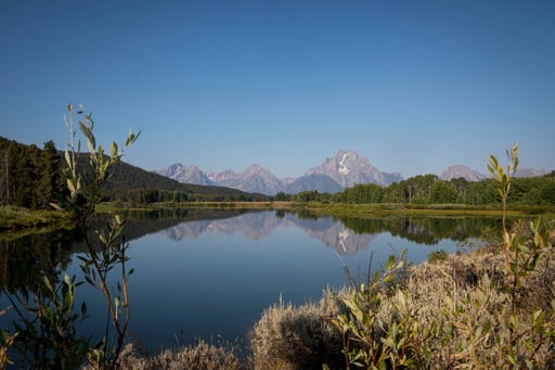 Mlb Considers Grand Teton National Park For Baseball Game Site, Prompting Concern