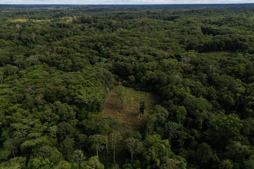 Us Lawmakers Urge Trump Administration To Oppose Colombia’s Amazon Aerial Spraying Plans