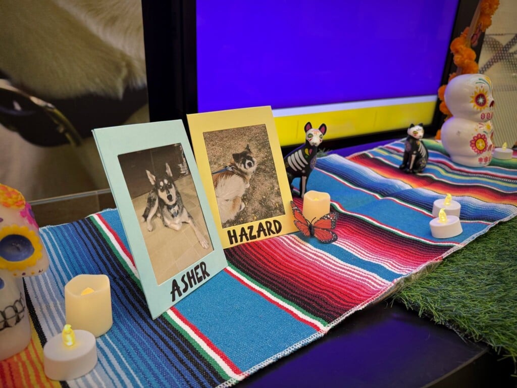 NHS Day of the Dead table