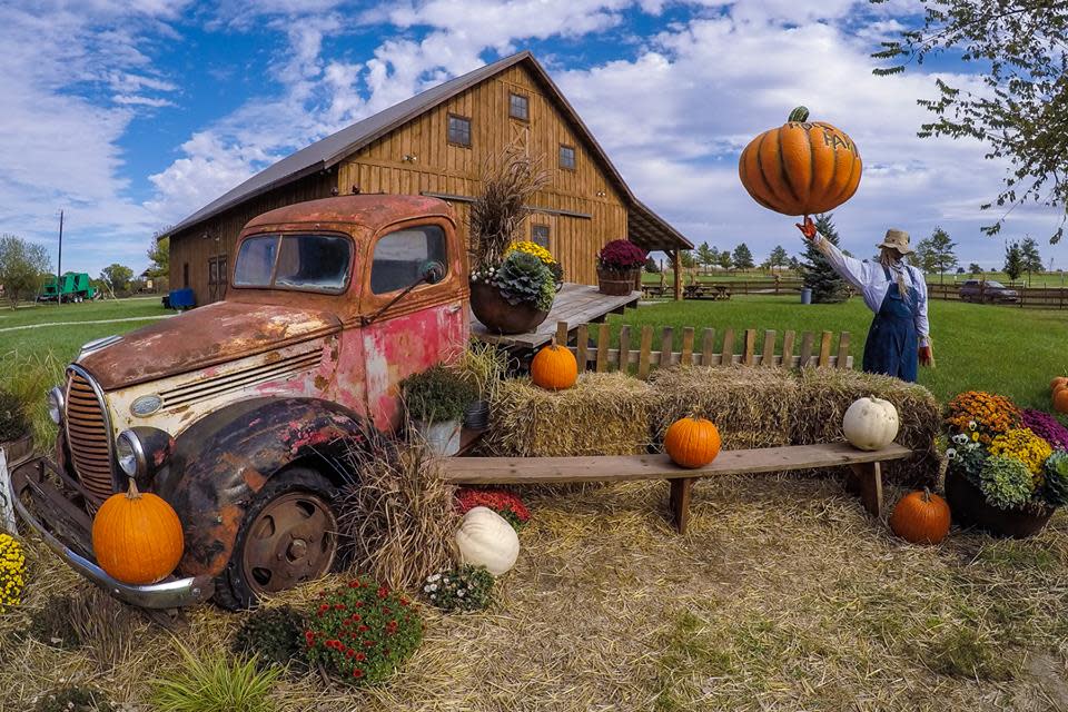 Roca Berry Farm