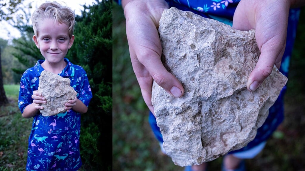 6-year-old finds fossil