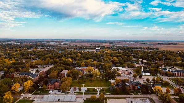 York University