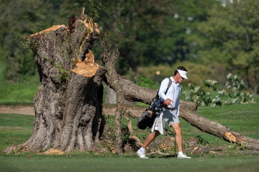 Judges Bristle As They Are Forced To Decide The Details Of Trump’s Washington Makeover