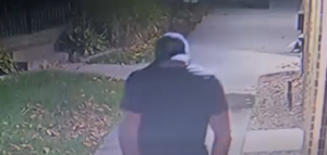 Norfolk burglary suspect