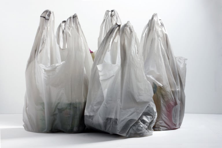 Biodegradable Plastic Bags Business Plan  Google Slides  PPT