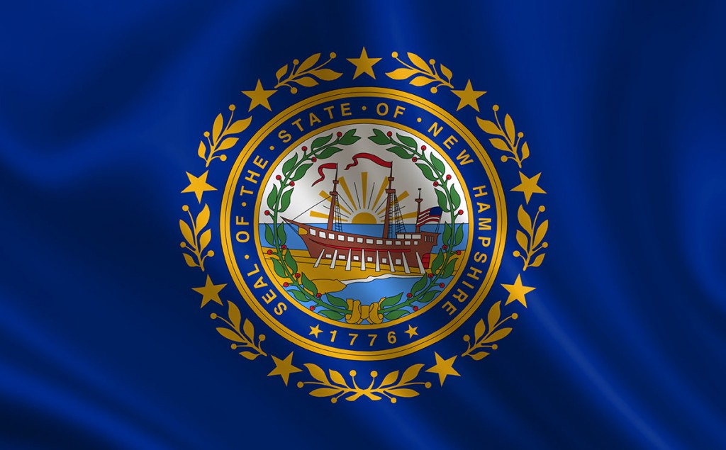 Flag Of The State New Hampshire. A Series Of "flags Of The United States Of America"