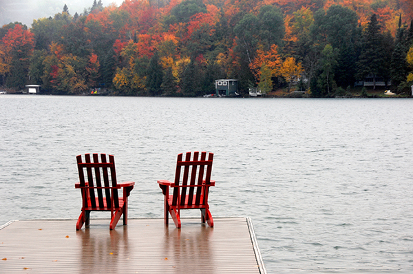 Foliage Chairs