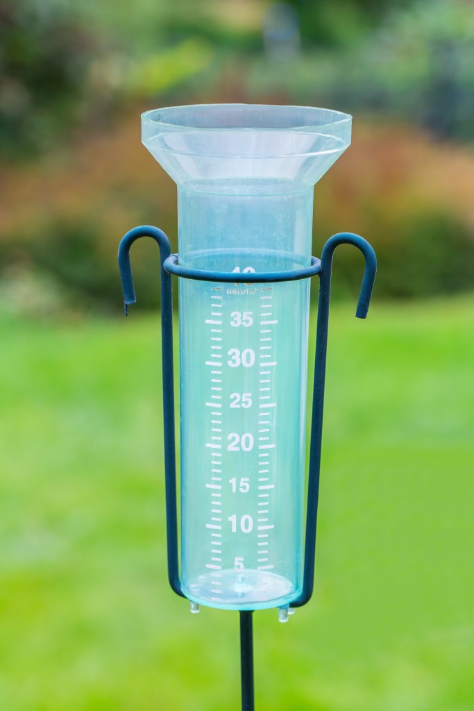 Empty Water Meter Outside In Garden