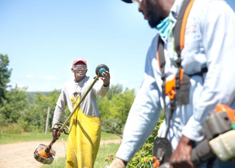 New Hampshire employers grapple with shortage of seasonal workers NH