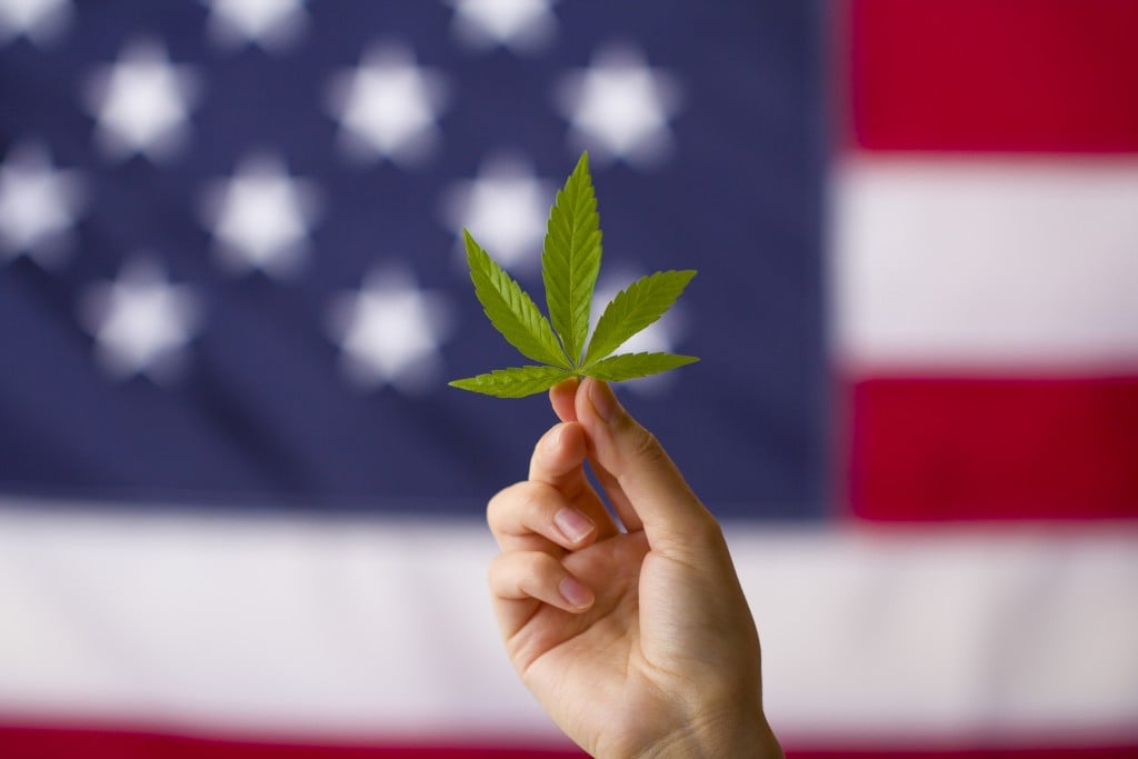 Cannabis Legalization In The United States Of America. Cannabis Leaf In Hands On Usa Flag Background