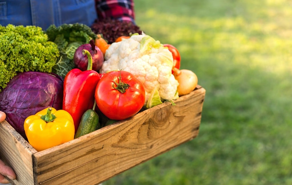 Farmer Holding Box With Vegetables