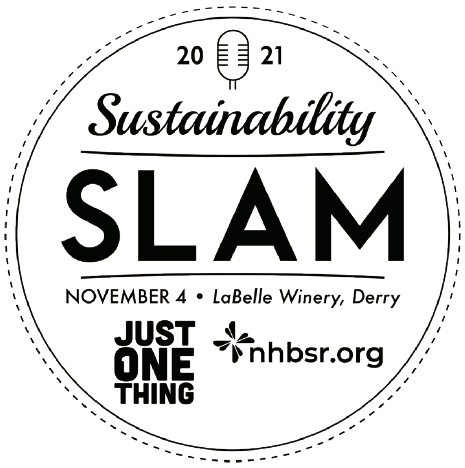 Sustainabilityslam21