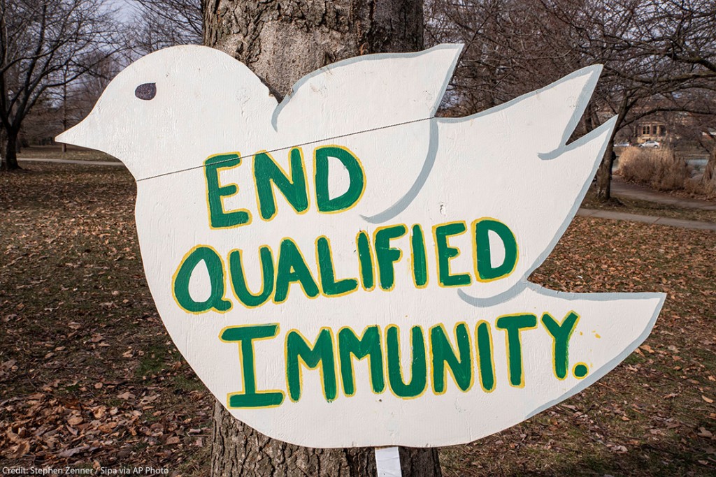 End Qualified Immunity Header Image