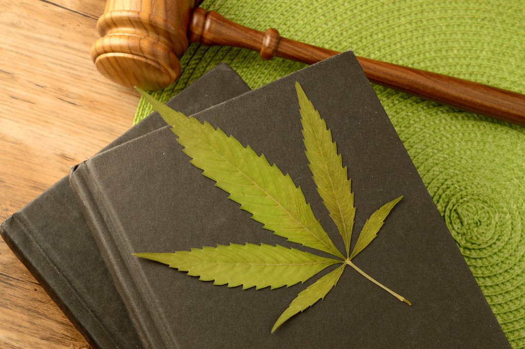 Legal Marijuana Information