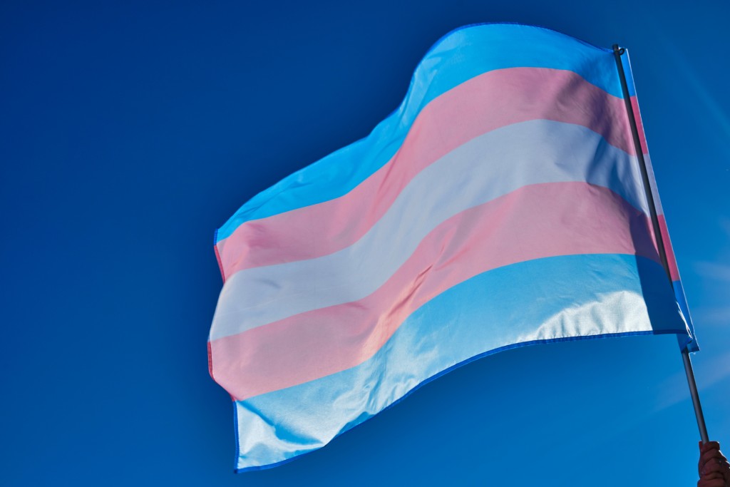 Transgender Flag In The Wind