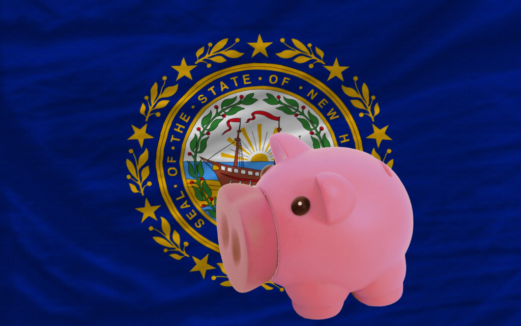 Piggy Rich Bank And Flag Of New Hampshire
