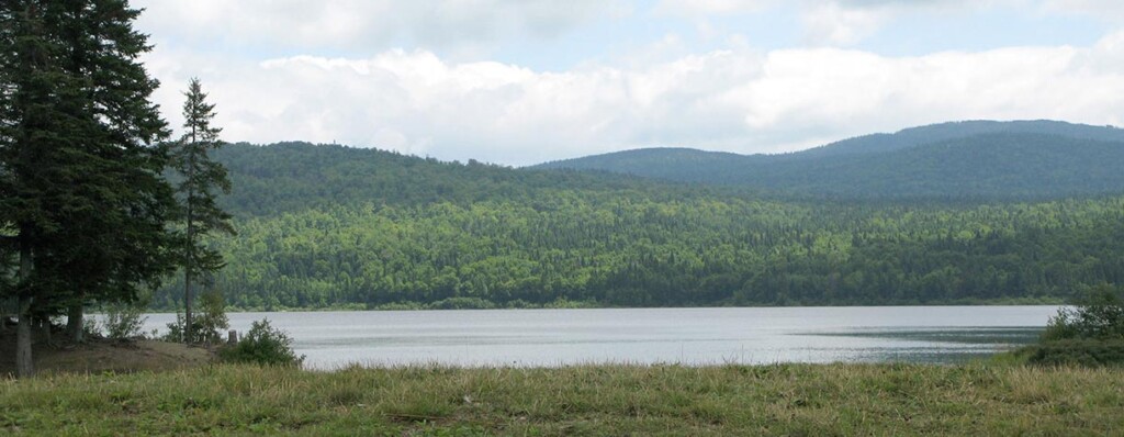 Connecticut Lakes Headwaters Working Forest2