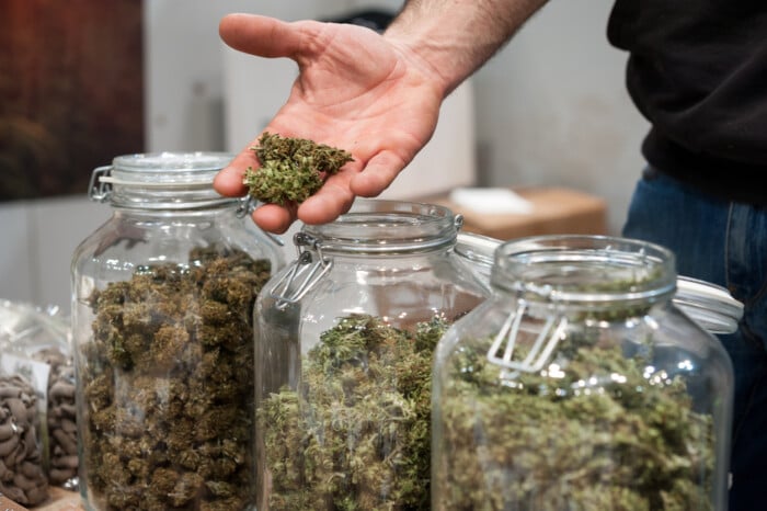 Glass Jar Full Of Cannabis Sativa