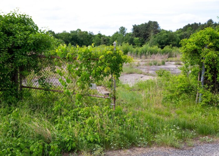 Winchester Tannery Site