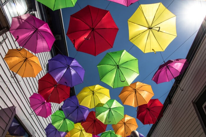 Littleton Umbrellas