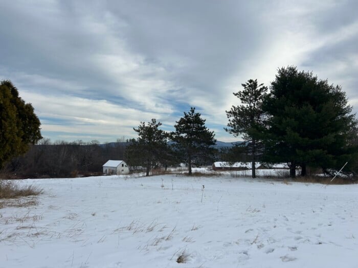 Stateschool 2 2048x1536