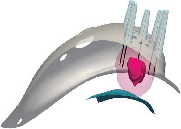 17695803686979a7501a44d