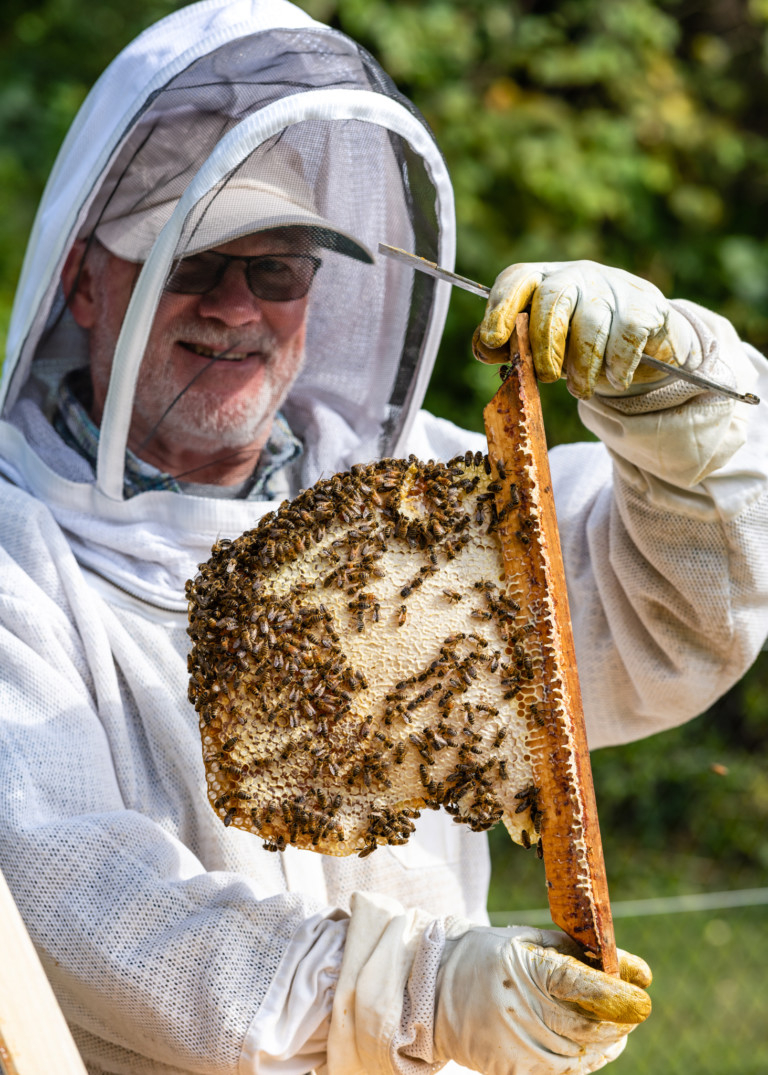 Bee-Coming a Beekeeper - New Hampshire Home Magazine