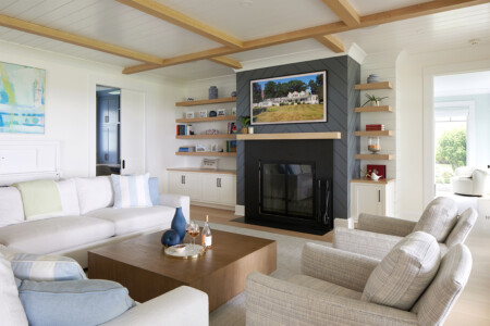 Den Area