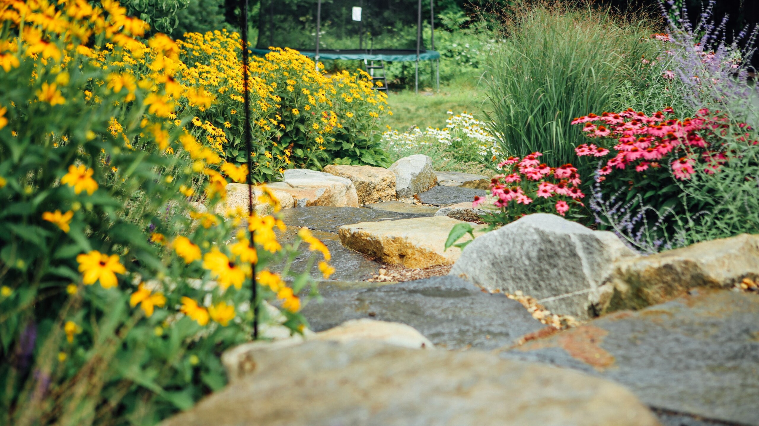 Home Design Award Outdoor Design: Garden Design