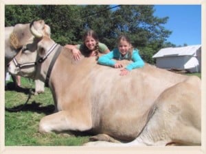 10th Annual Harvest Festival @ Prescott Farm Environmental Education Center | Laconia | New Hampshire | United States