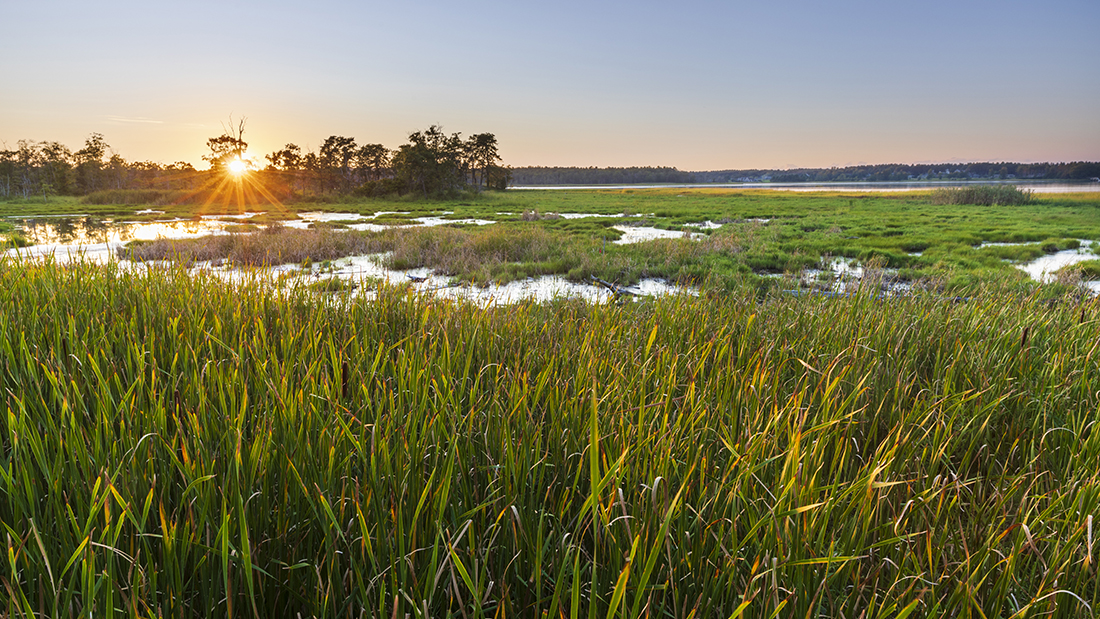Preserving The Great Bay New Hampshire Magazine