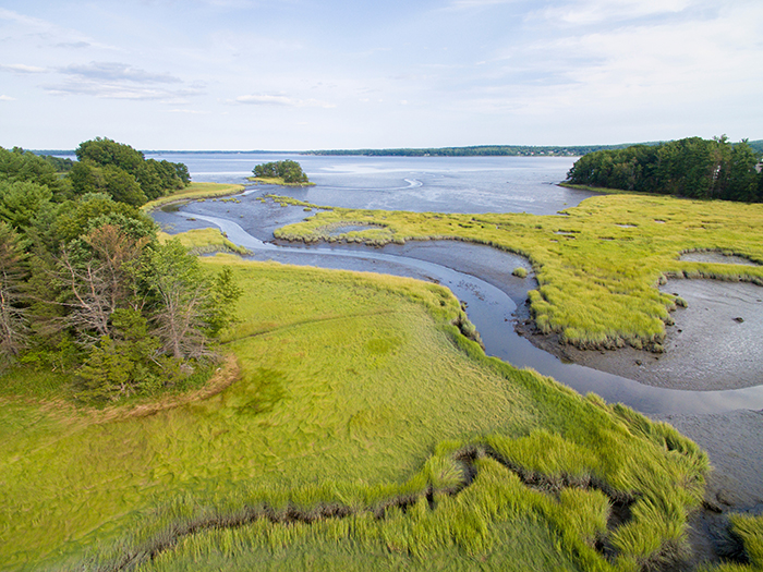 en Tidevandsbæk strømmer gennem en Saltmose ind i Den Store Bugt i Det Nye Marked, ny Hampshire. Naturbevarelsens Lubberland Creek Preserve.'s Lubberland Creek Preserve.